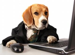 Bay Area IT Resources